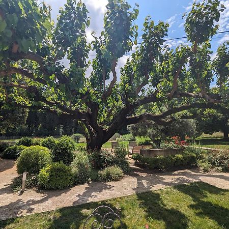 Mas De La Gramillere Otel Barbentane Dış mekan fotoğraf