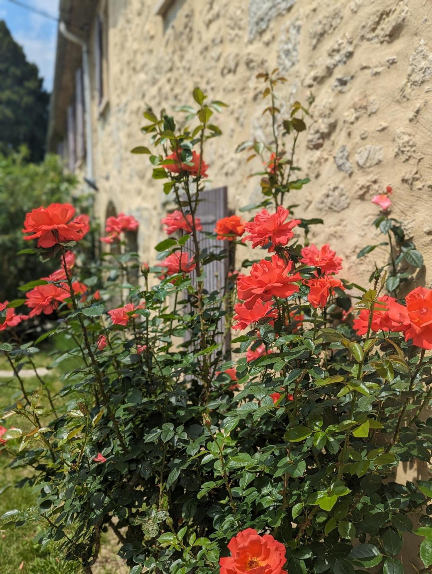 Mas De La Gramillere Otel Barbentane Dış mekan fotoğraf