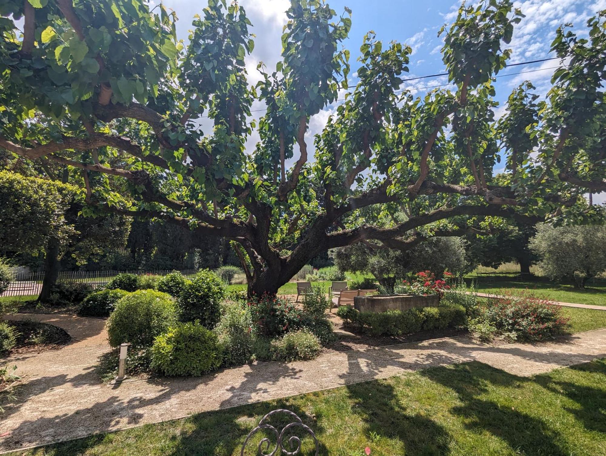 Mas De La Gramillere Otel Barbentane Dış mekan fotoğraf
