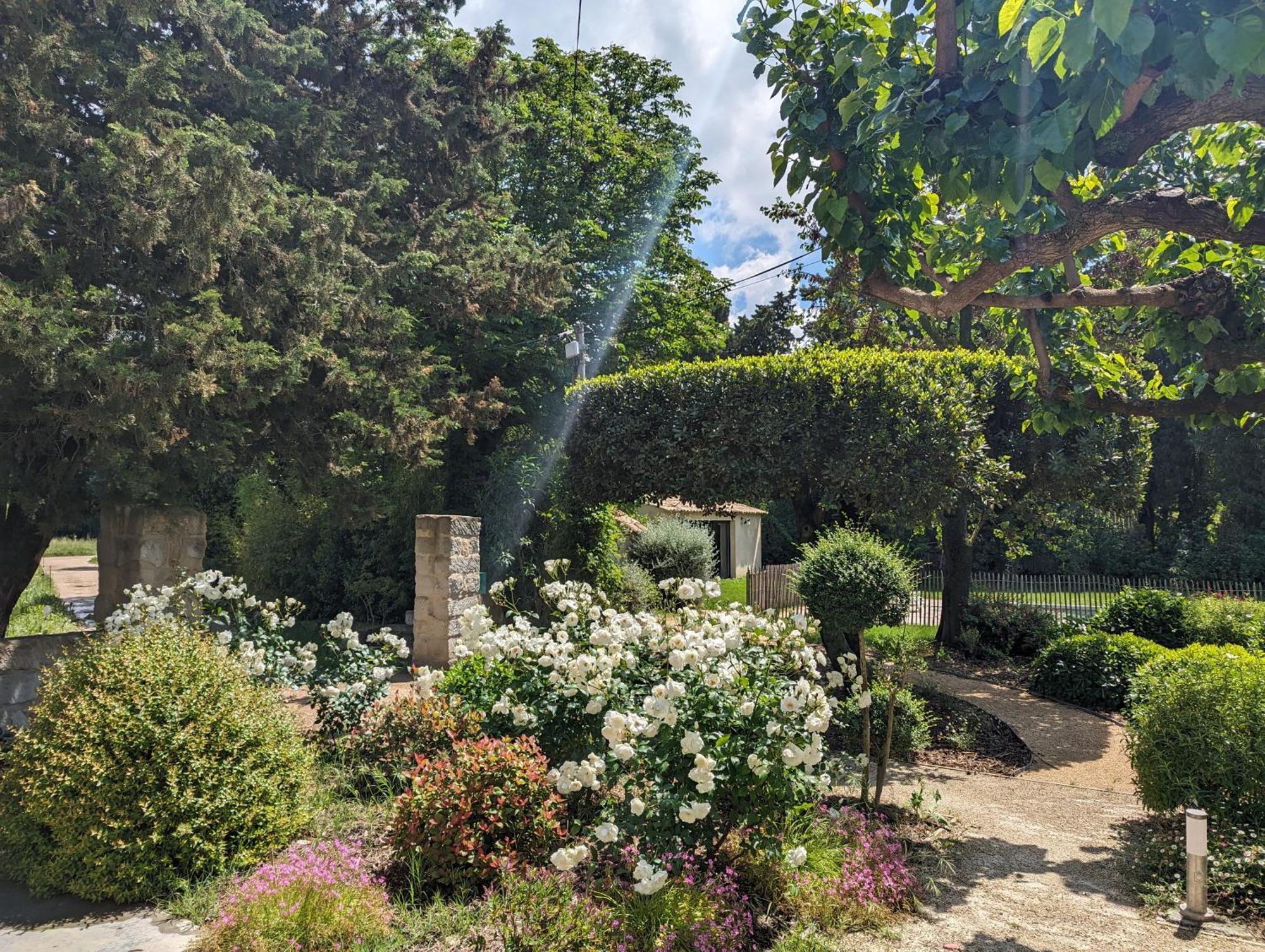 Mas De La Gramillere Otel Barbentane Dış mekan fotoğraf